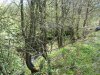 dscf4759